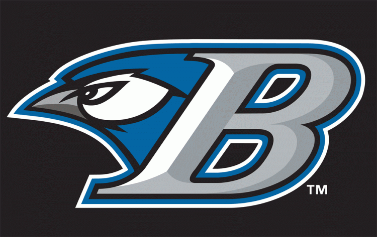 Bluefield Blue Jays 2011 Cap Logo iron on transfers for clothing